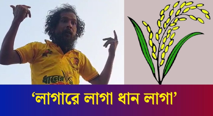 সবাই আনন্দে ভাসছে- বিএনপি সমর্থক রিকশাচালক